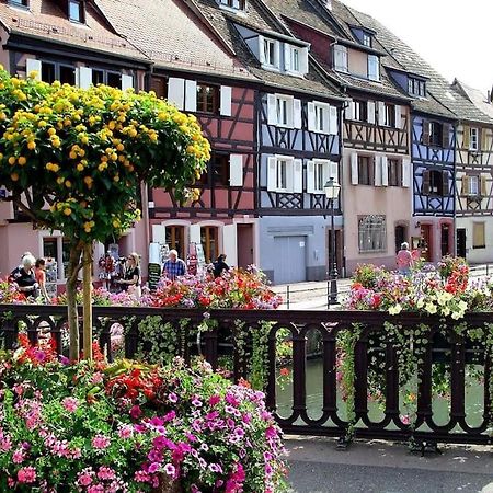 Colmar,Appart Chaleureux 2 Pas Centre Avec Jardin Exteriér fotografie