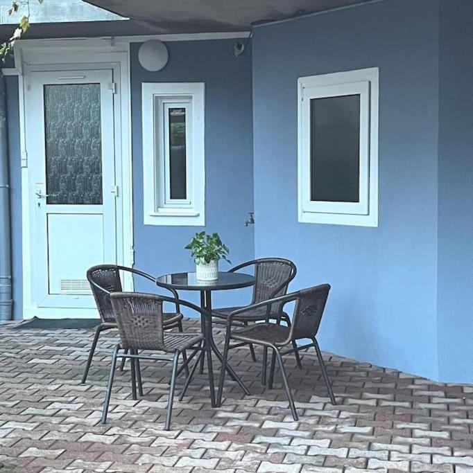 Colmar,Appart Chaleureux 2 Pas Centre Avec Jardin Exteriér fotografie