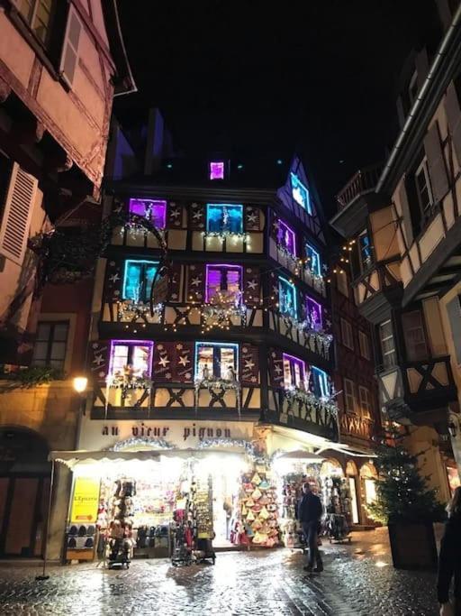 Colmar,Appart Chaleureux 2 Pas Centre Avec Jardin Exteriér fotografie