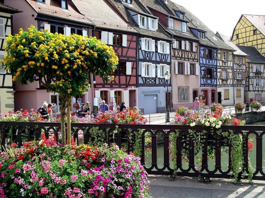 Colmar,Appart Chaleureux 2 Pas Centre Avec Jardin Exteriér fotografie